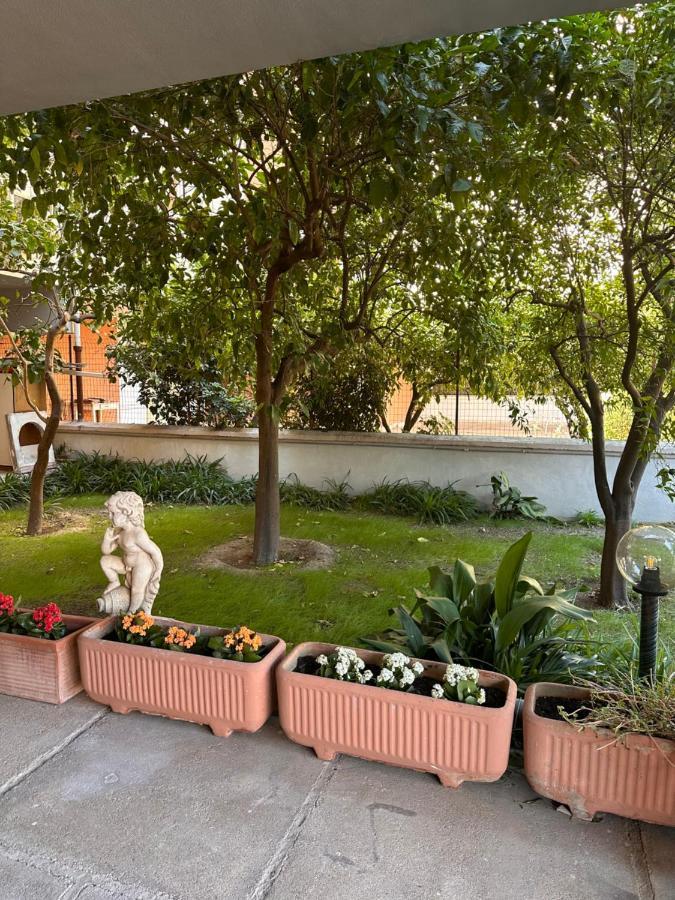 Ajoaolbia B&B Экстерьер фото