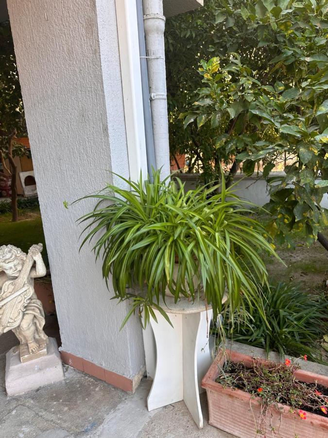 Ajoaolbia B&B Экстерьер фото